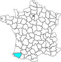 64.png